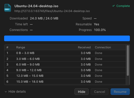 A download’s progress window: file name, speed, time left, segment bar and one row per connection.